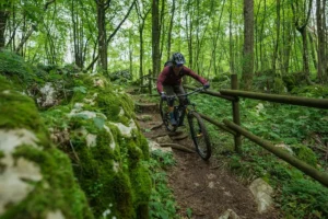 Ciclista in singletrail forestale con rocce muschiose e steccato in legno, bosco verdeggiante.