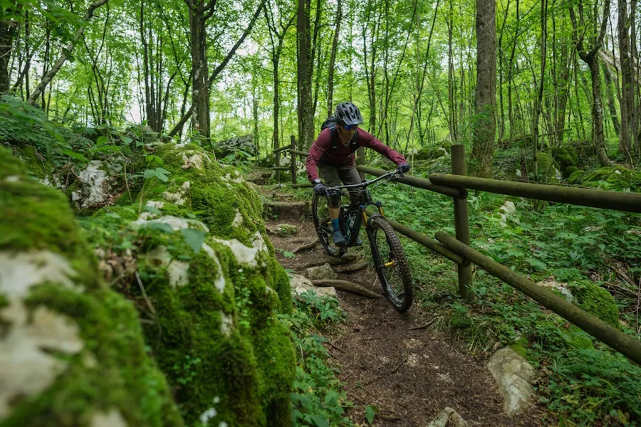 Ciclista in singletrail forestale con rocce muschiose e steccato in legno, bosco verdeggiante.