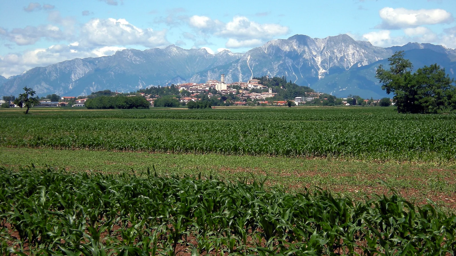 Pianura coltivata con campi verdi e montagne rocciose sullo sfondo, piccolo centro abitato tra i campi.