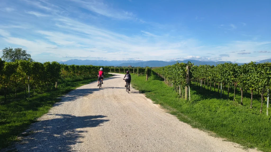Due ciclisti su strada sterrata tra vigneti, montagne sullo sfondo in giornata di sole.