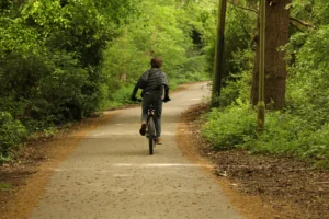 Ciclista su schotterweg immerso in bosco fitto con vegetazione verde lussureggiante ai lati.