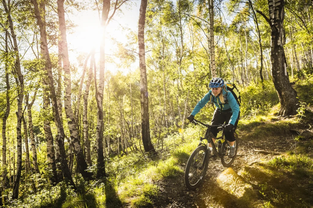 Ciclista in sella su sterrato tra betulle e alberi in una foresta soleggiata.