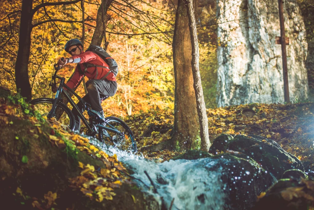 Ciclista in maglia rossa affronta un singletrail boschivo autunnale con ruscello e fogliame dorato.